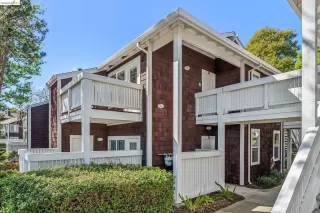 Photo #1: 41128338 Listing 