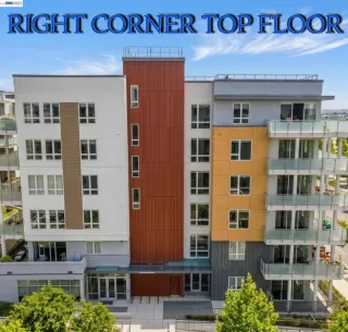 Photo #1: 41128454 Listing 