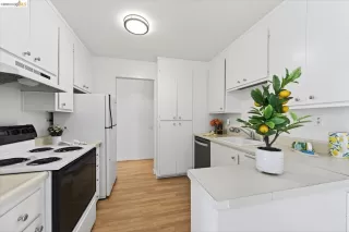 Photo #3: 41128464 Listing 