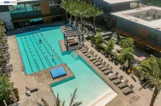 Photo #1: 41128500 Listing