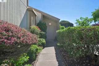 Photo #1: 41128587 Listing