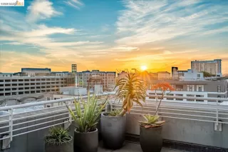 Photo #1: 41128665 Listing 