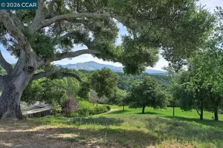 More Details about MLS # 41128877 : 532 SPOTTED OWL CT