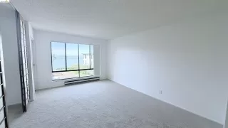 Photo #5: 41128882 Listing 