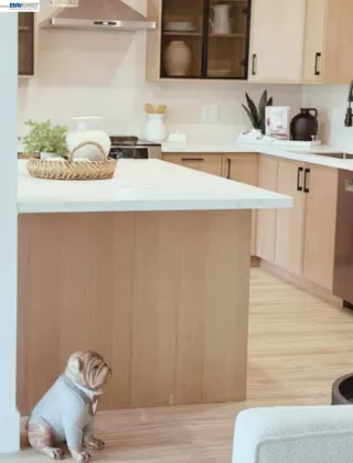 Photo #1: 41128932 Listing 