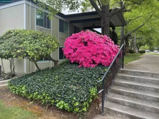 Photo #1: 41129136 Listing 