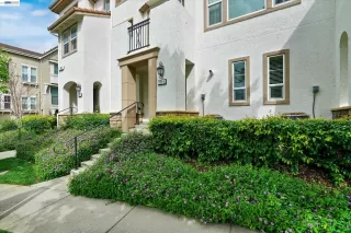 Photo #1: 41129495 Listing 