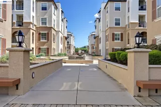 Photo #1: 41129560 Listing