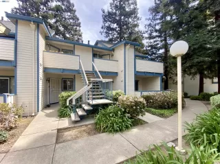 Photo #2: 41129605 Listing 