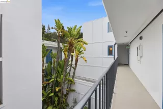 Photo #5: 41129677 Listing