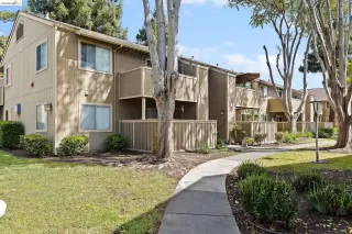 Photo #4: 41129834 Listing 