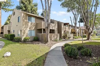 Photo #6: 41129834 Listing 