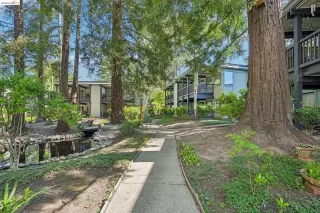 Photo #3: 41129935 Listing