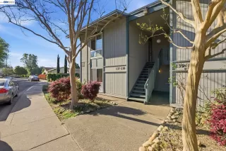 Photo #1: 41130120 Listing