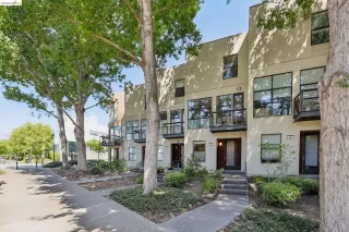 Photo #1: 41130185 Listing