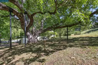 Photo #1: 41130255 Listing