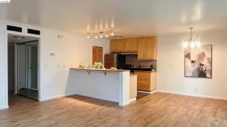 Photo #1: 41130316 Listing 