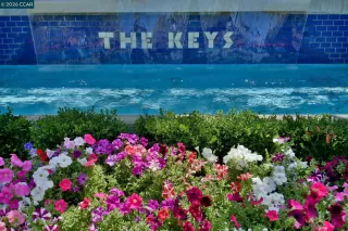 Photo #1: 41130379 Listing 