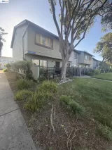 Primary Photo for MLS#: 41130400