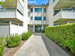 Primary Photo for MLS#: 41130582