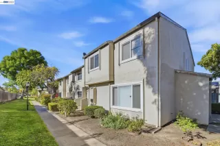 Photo #1: 41130858 Listing 