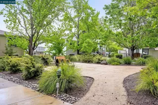 Photo #1: 41130899 Listing 