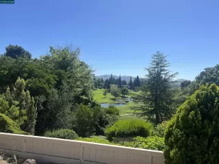 Photo #1: 41130961 Listing