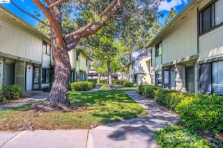 Photo #2: 41131023 Listing 