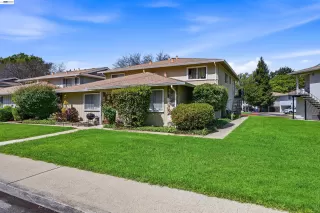 Photo #1: 41131062 Listing 