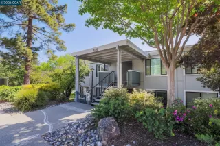 Photo #1: 41131067 Listing 