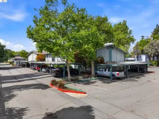 Photo #1: 41131068 Listing 