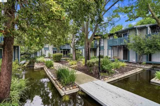 Photo #4: 41131068 Listing 