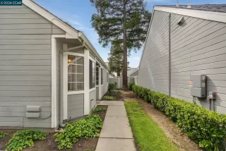 Photo #1: 41131102 Listing 