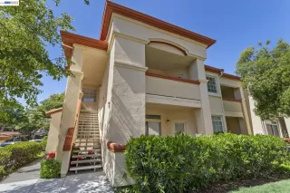 Primary Photo for MLS#: 41131243