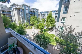 Primary Photo for MLS#: 41131342