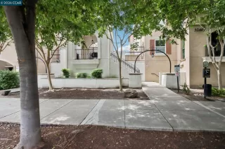 Photo #2: 41131400 Listing 