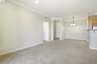 Photo #3: 41131443 Listing 