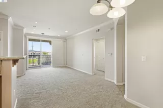 Photo #6: 41131443 Listing 