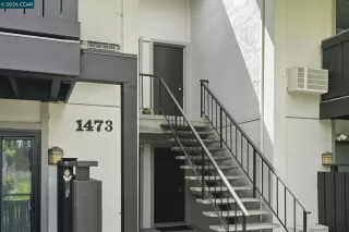 Photo #1: 41131566 Listing 