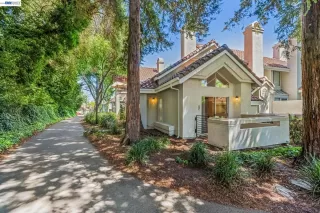 Photo #1: 41131607 Listing 