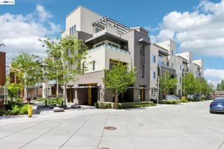 Photo #1: 41131729 Listing 