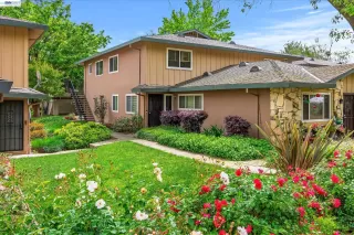 Photo #1: 41131758 Listing 