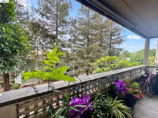 Primary Photo for MLS#: 41131830