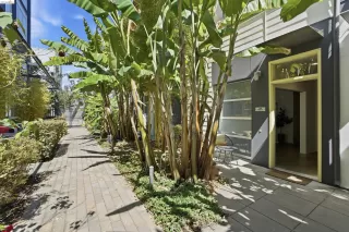 Photo #1: 41131852 Listing 