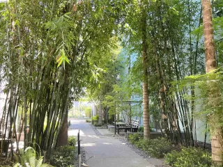 Photo #2: 41131852 Listing 