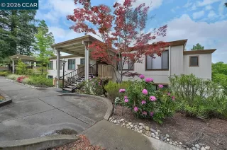 Primary Photo for MLS#: 41131871