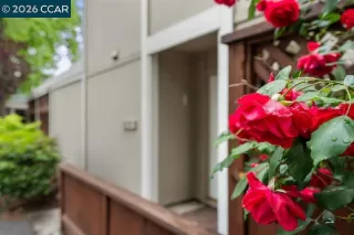 Photo #4: 41131941 Listing 