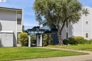 Photo #3: 41132006 Listing 