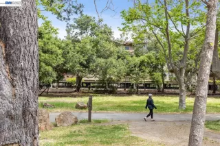 Photo #5: 41132118 Listing 