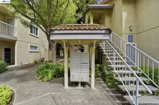 Photo #3: 41132148 Listing 